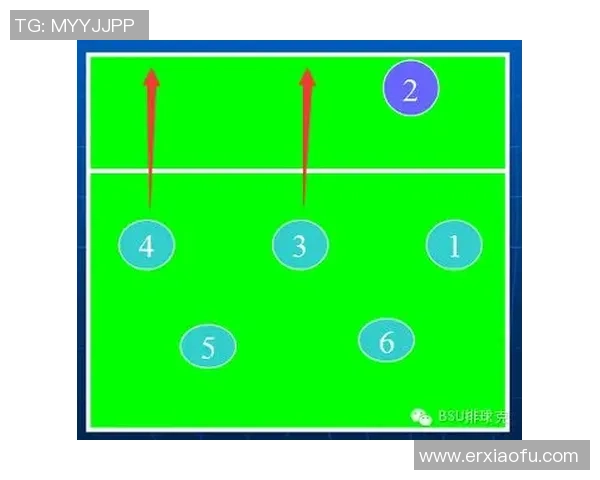 从零起步掌握排球技巧与战术全面指南助你成为排球高手